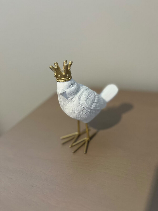 White King Bird