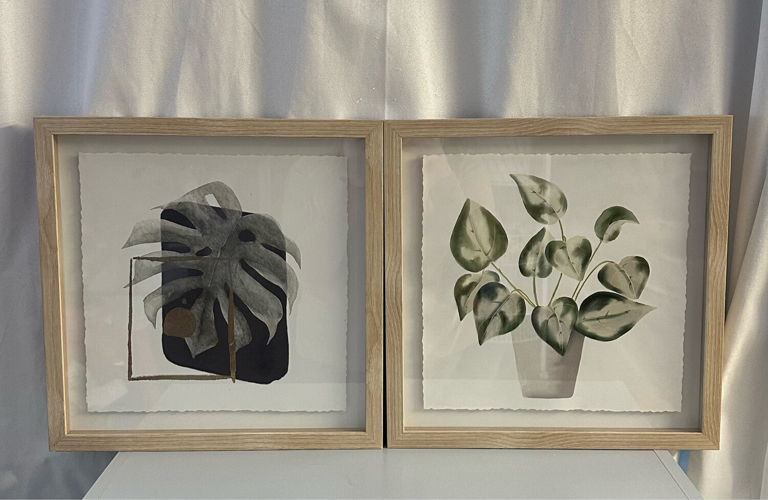Framed Plant Art - Set Of 2