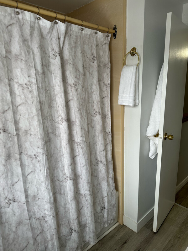 Shower Curtain w/ Hooks
