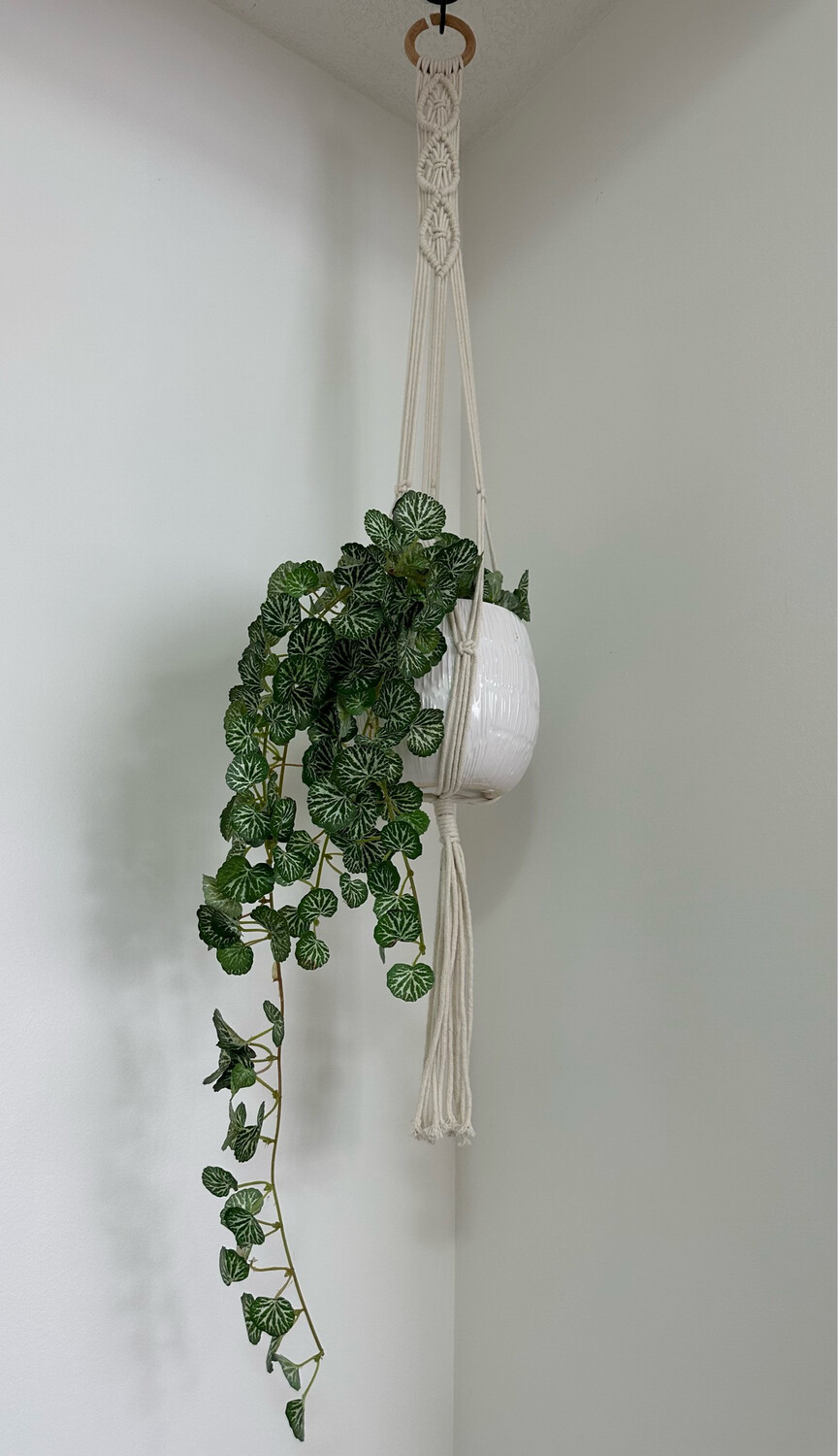 Faux Emerald Ripple Hanging Plant