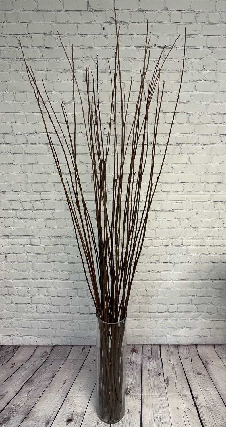 XL Glass Cylinder Floor Plant
