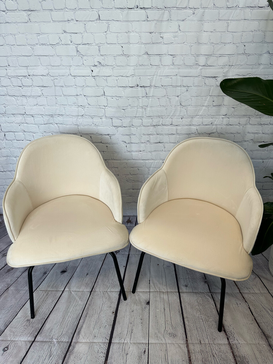Cream Accent Chair - Set Of 2