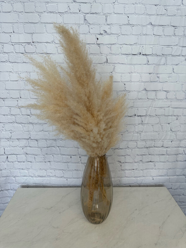 Large Glass Brown Toned Vase