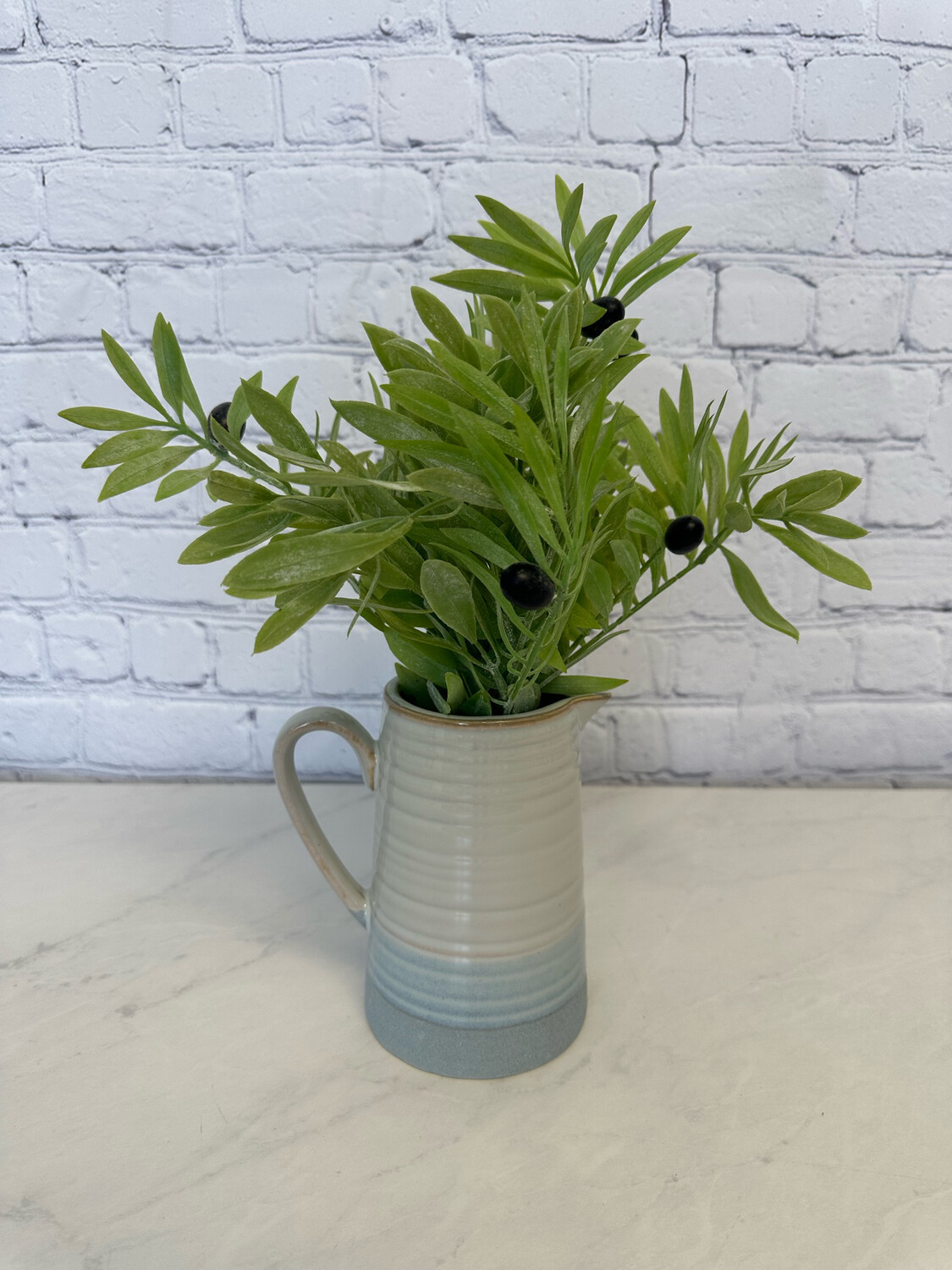 Olive Plant In Ceramic Watering Jug