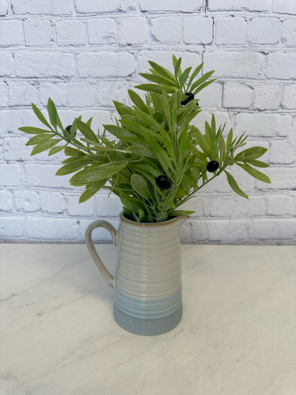 Olive Plant In Ceramic Watering Jug