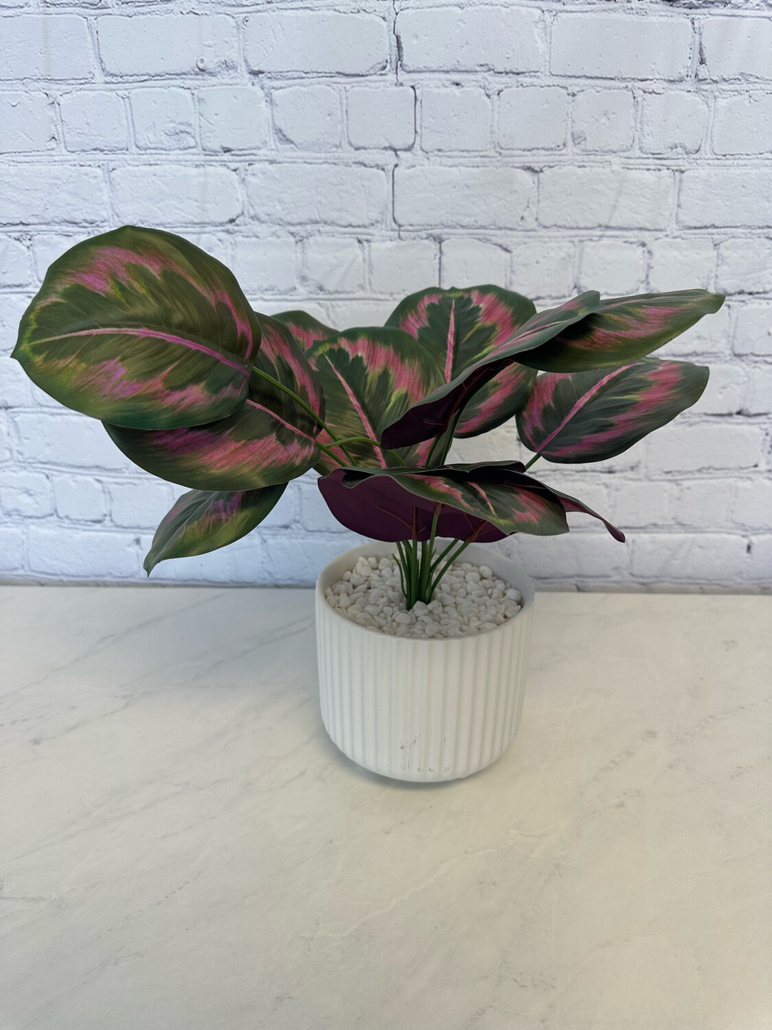 Faux Jungle Velvet In White Pot