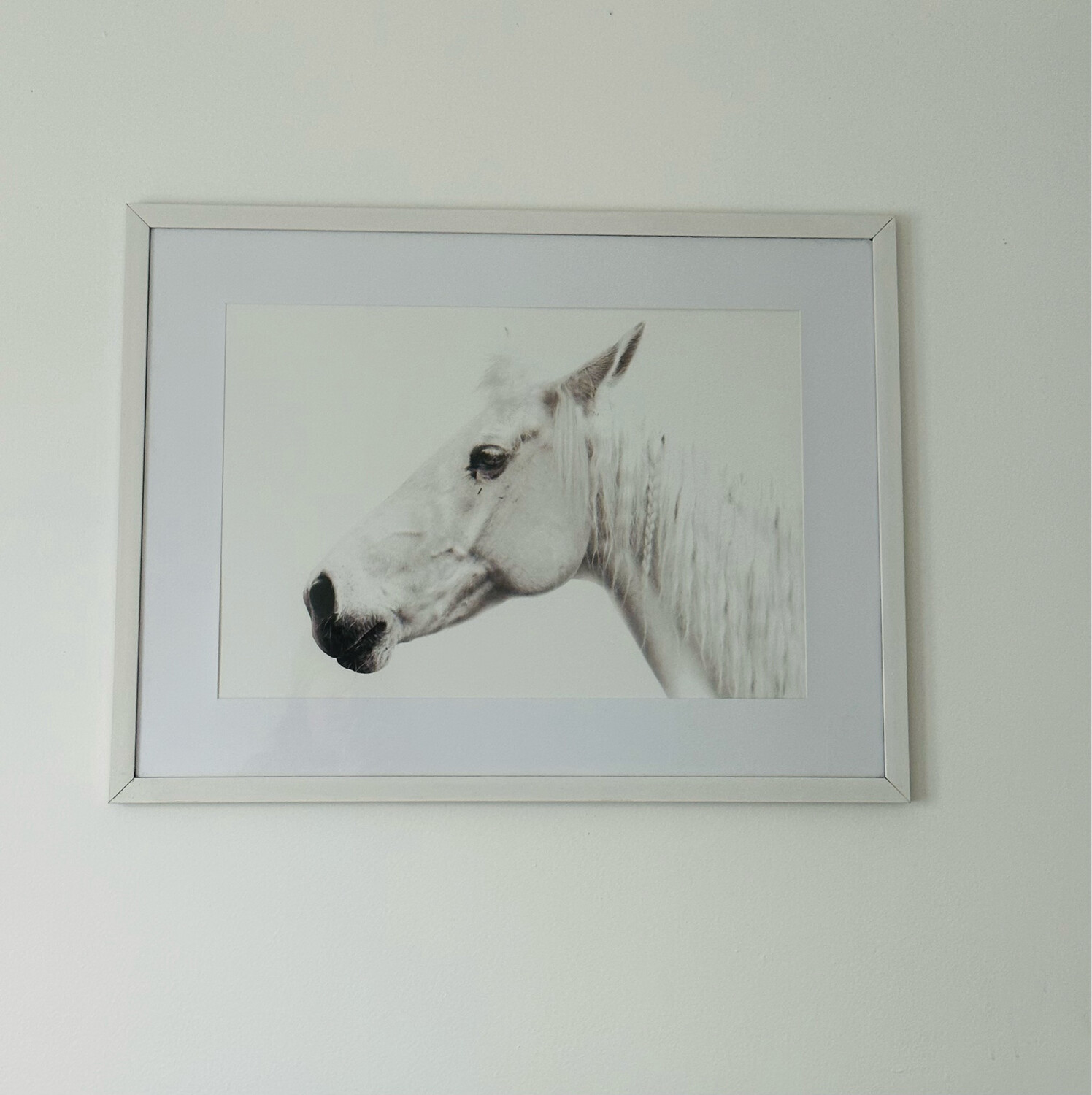 Horse Art