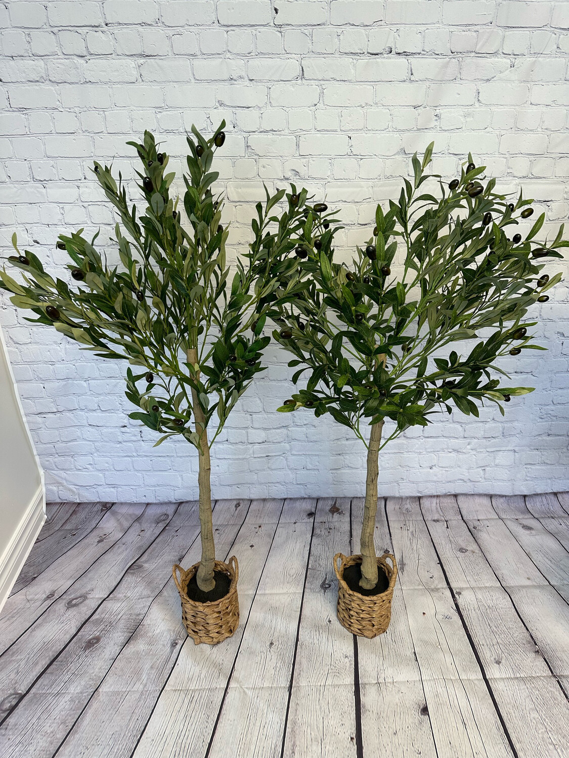 Indoor/Outdoor Olive Floor Plant - Set Of 2