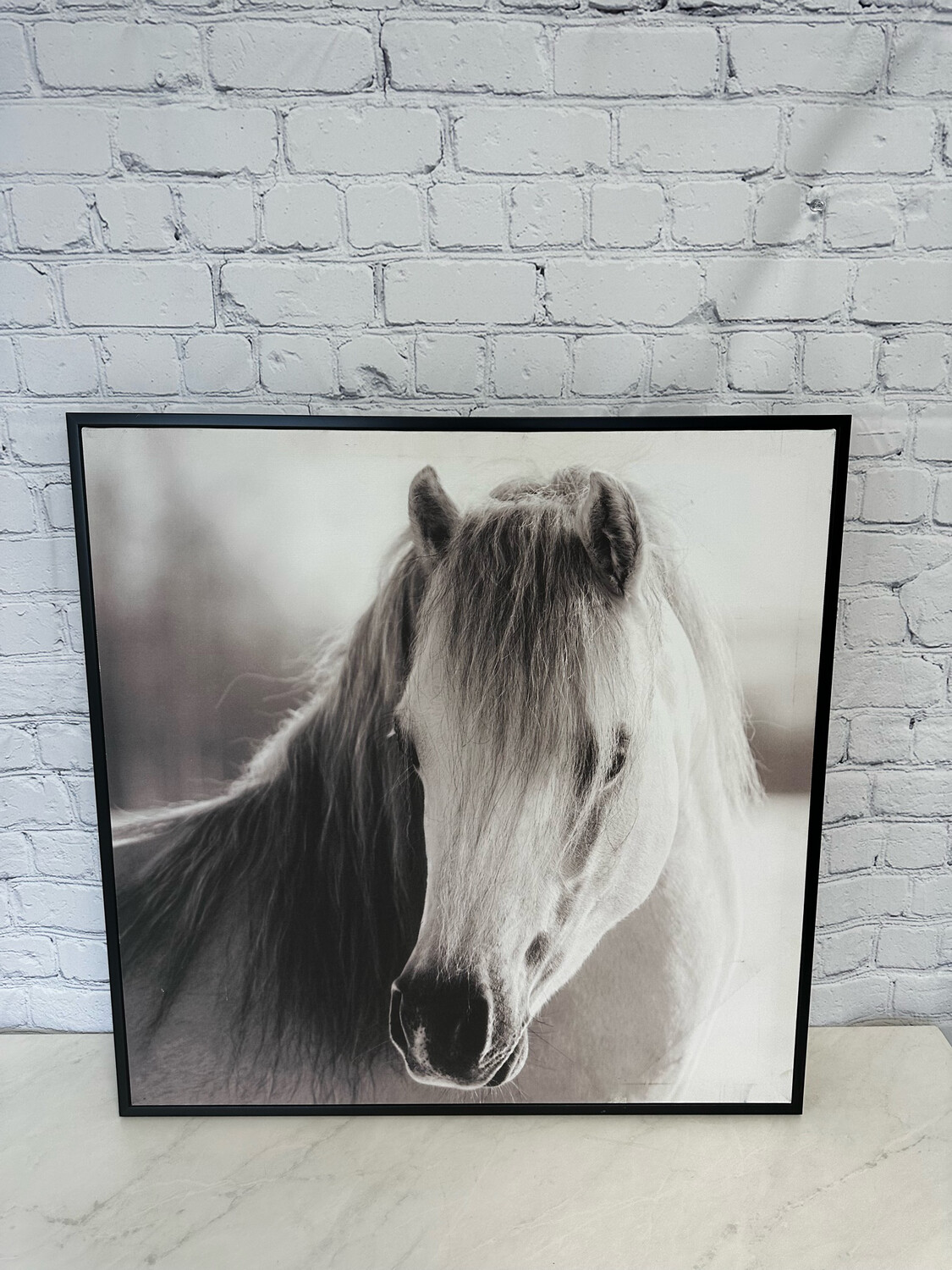 Framed Horse Canvas