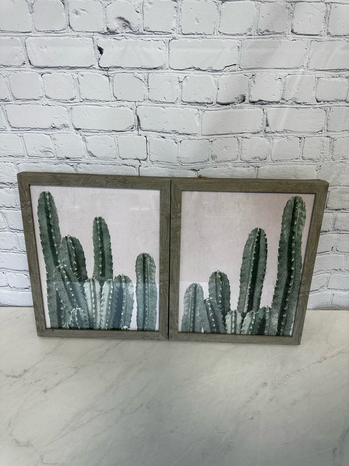 Framed Cactus Art - Set Of 2