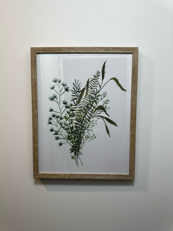 Framed Plant Art