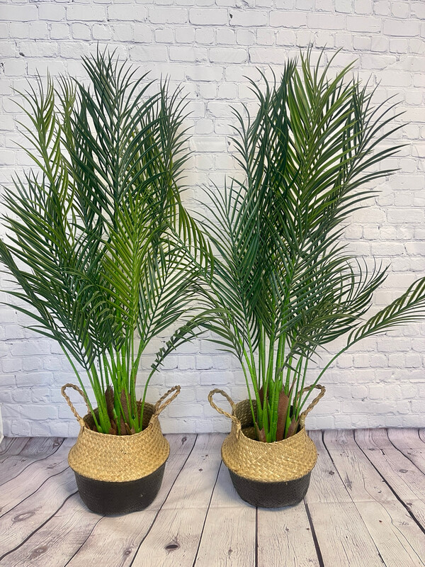 Indoor/Outdoor Floor Palms - Set Of 2