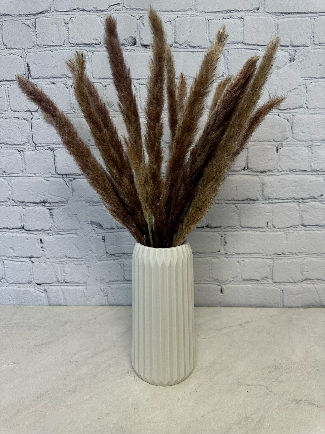 Brown Pampas