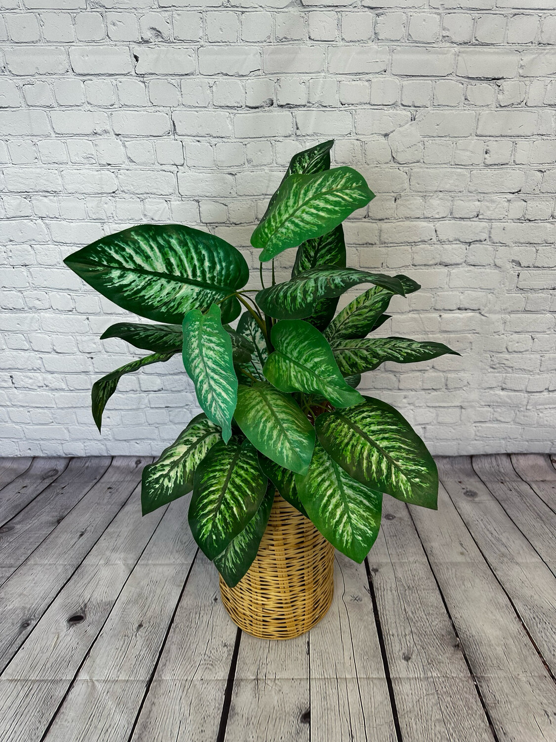 Light Wicker Floor Plant