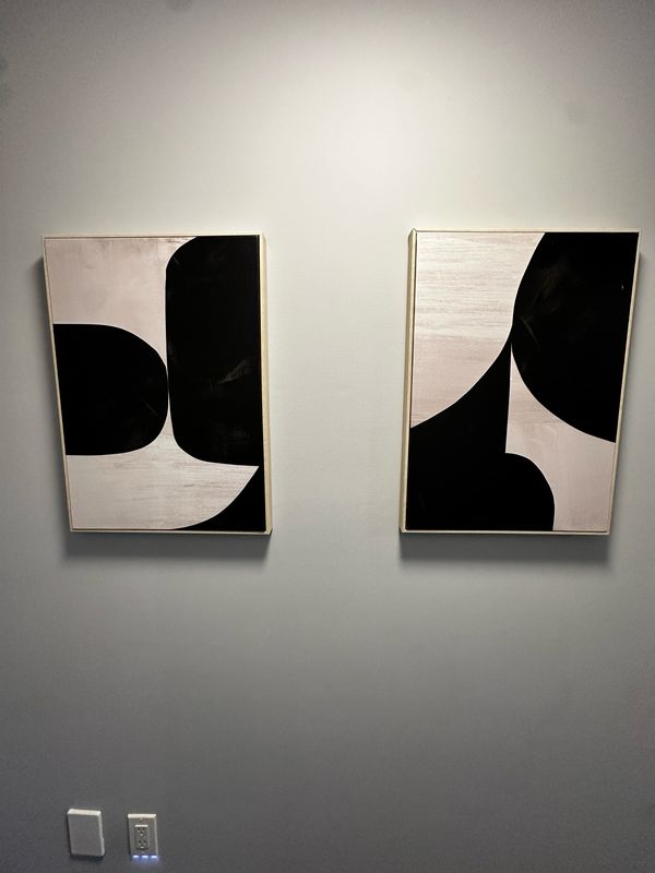 Black & White Abstract Framed Canvas - Set Of 2