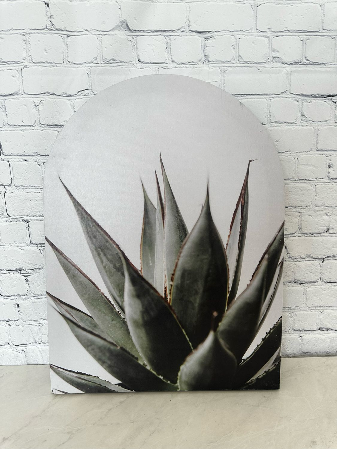Century Plant Canvas