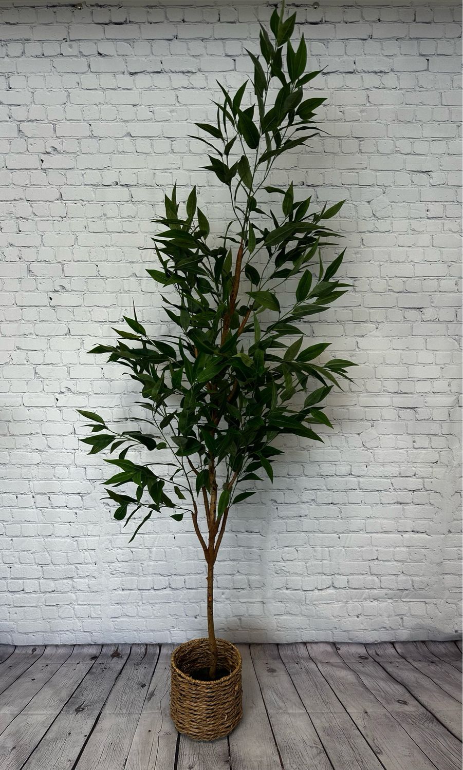 XL Heavenly Bamboo Floor Plant w/ Wicker Basket