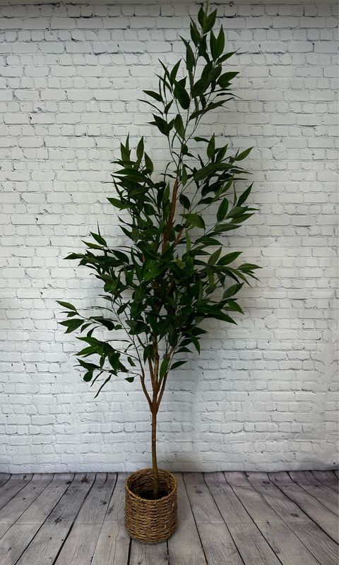 XL Heavenly Bamboo Floor Plant w/ Wicker Basket