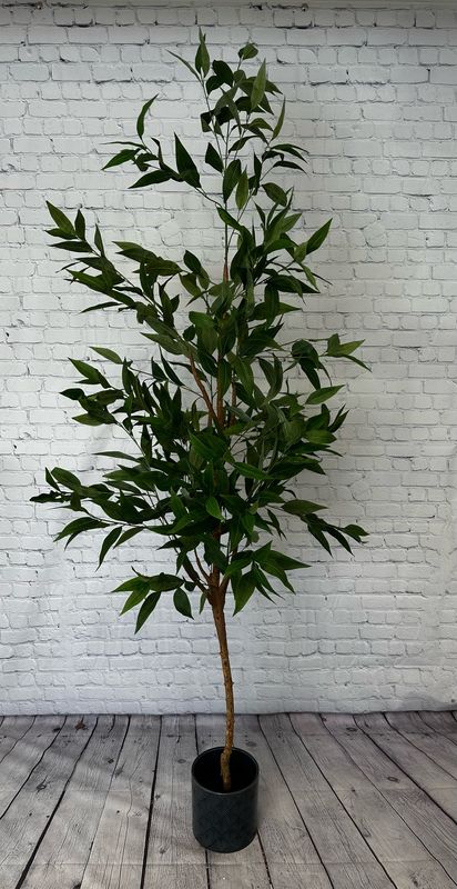 XL Heavenly Bamboo Floor Plant w/ Blue Pot