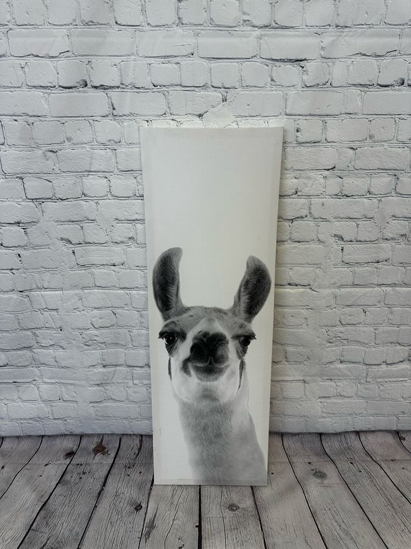 White & Black Llama Canvas