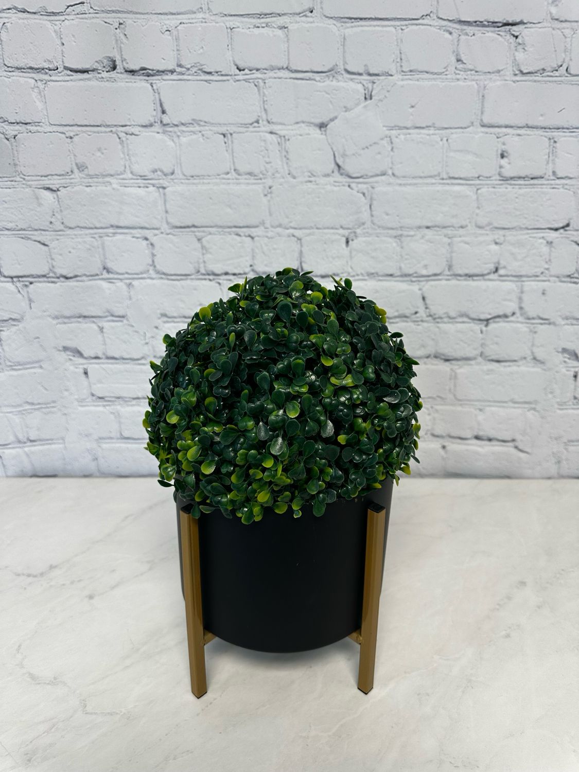 Black Stand w/ Marjoram