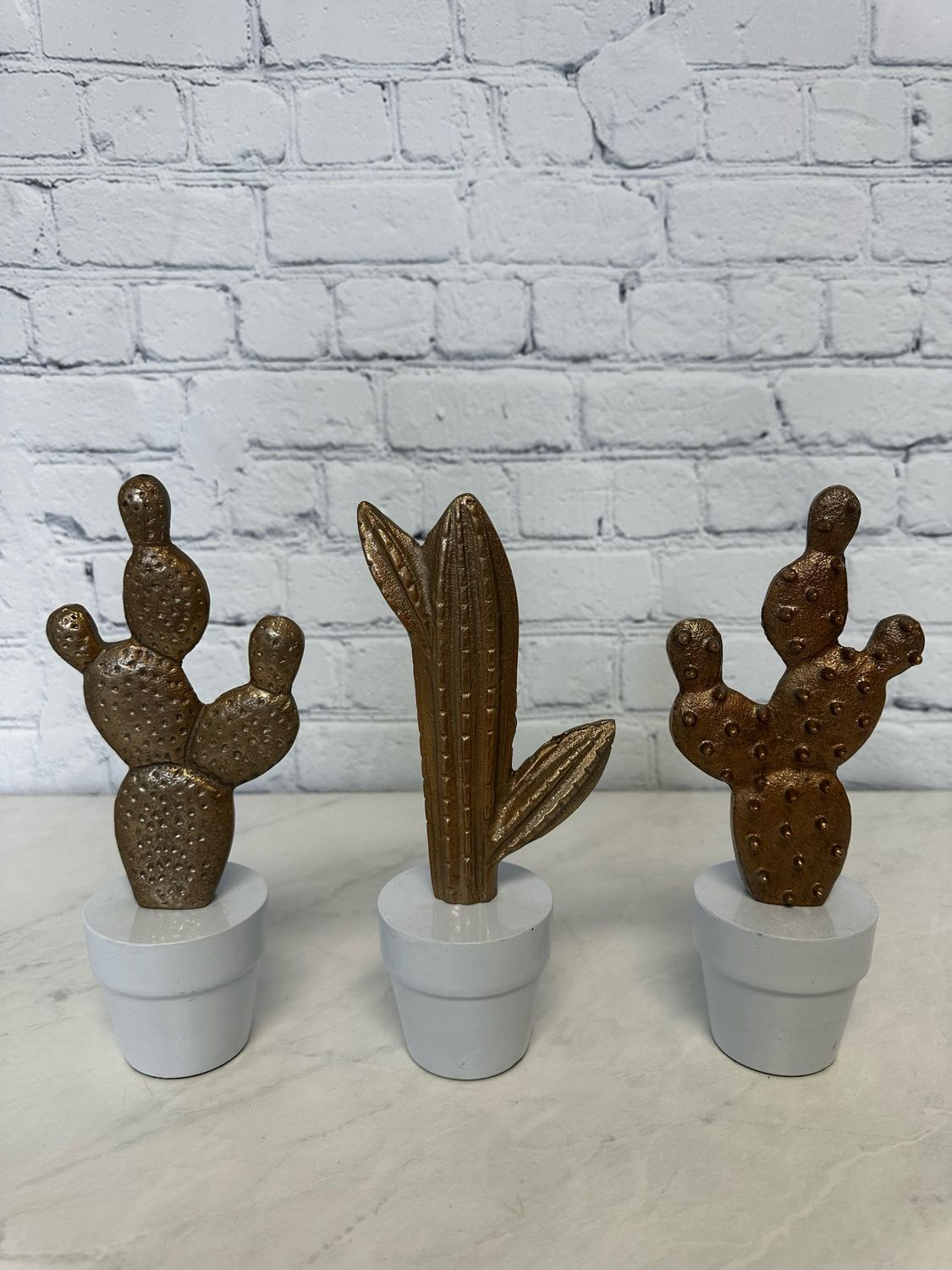 Cactus Decor - Set Of 3