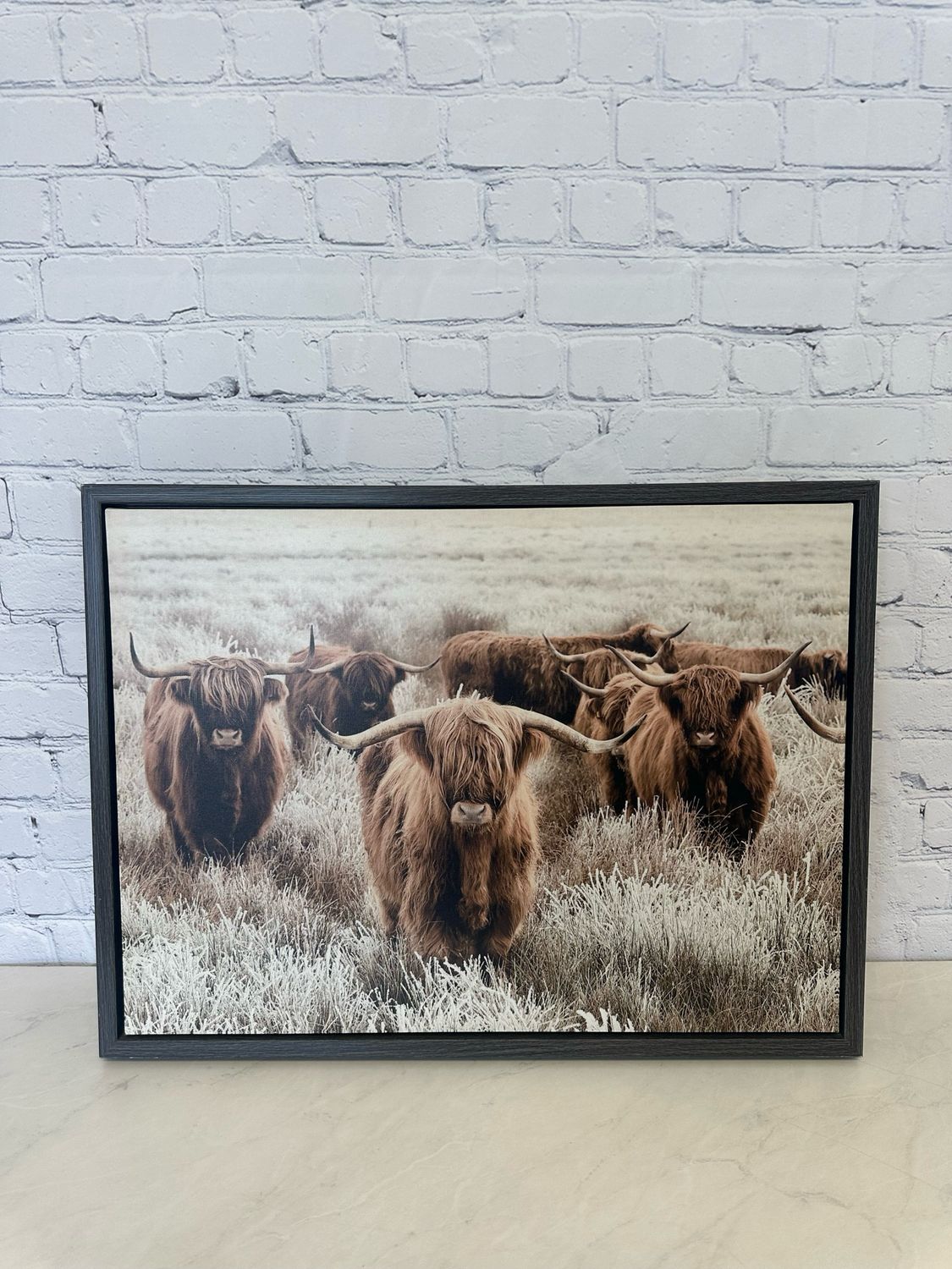 Highland Cow Framed Canvas