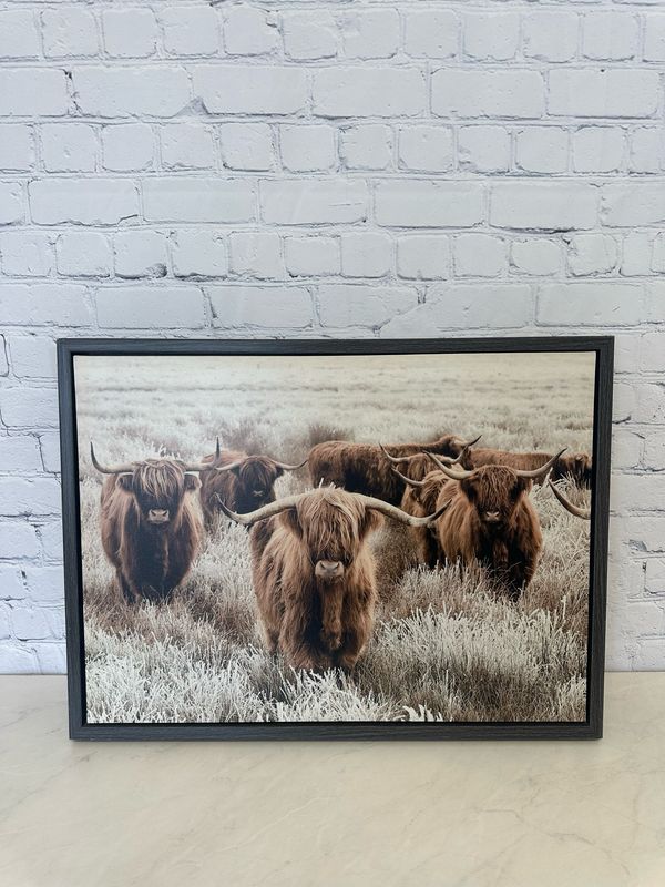 Highland Cow Framed Canvas