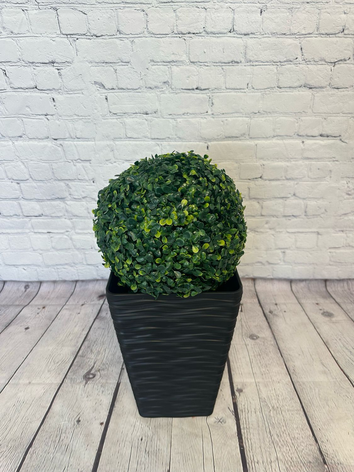 Indoor/Outdoor Floor Plant