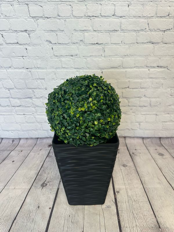 Indoor/Outdoor Floor Plant