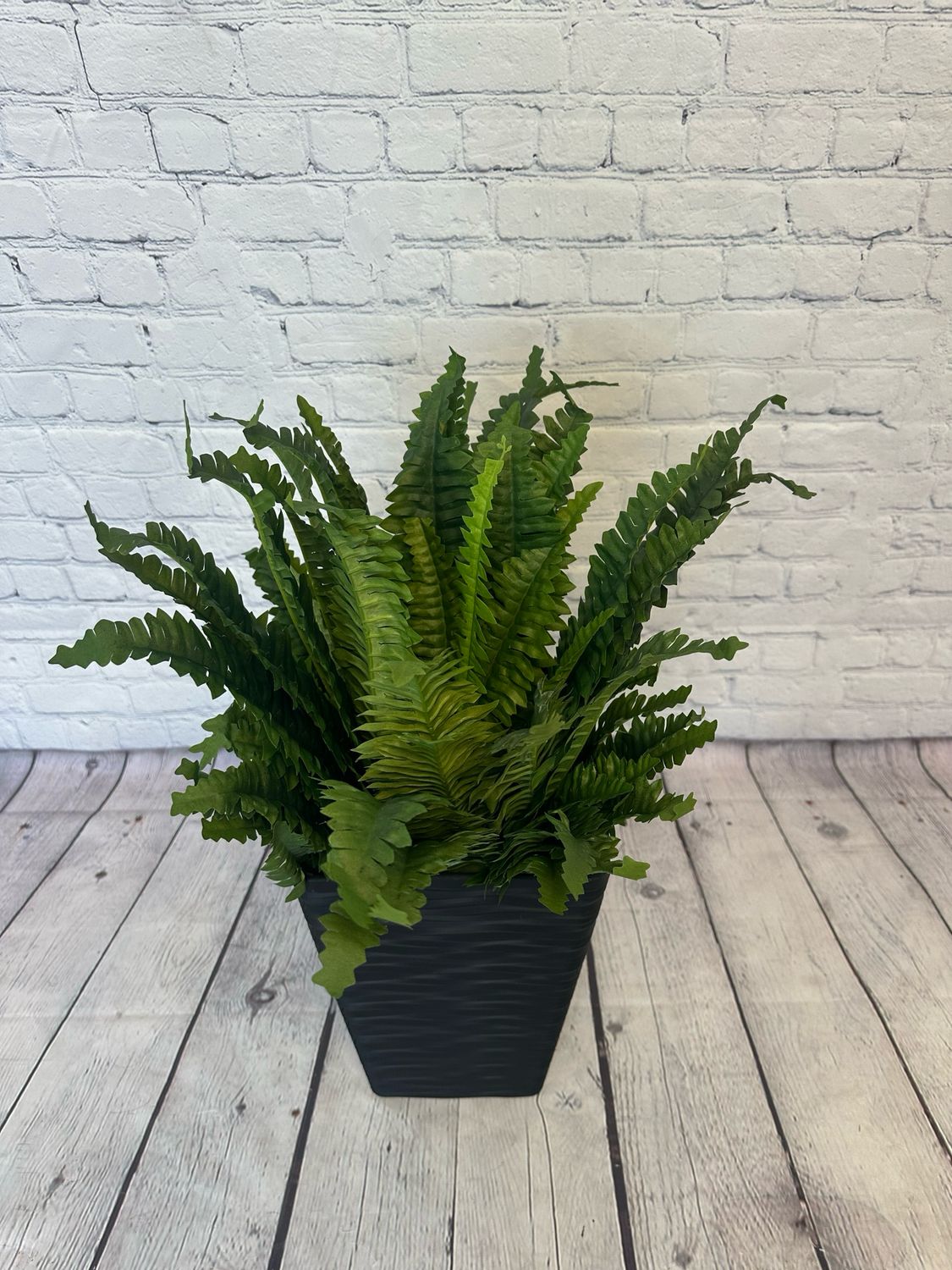 Indoor/Outdoor Floor Plant