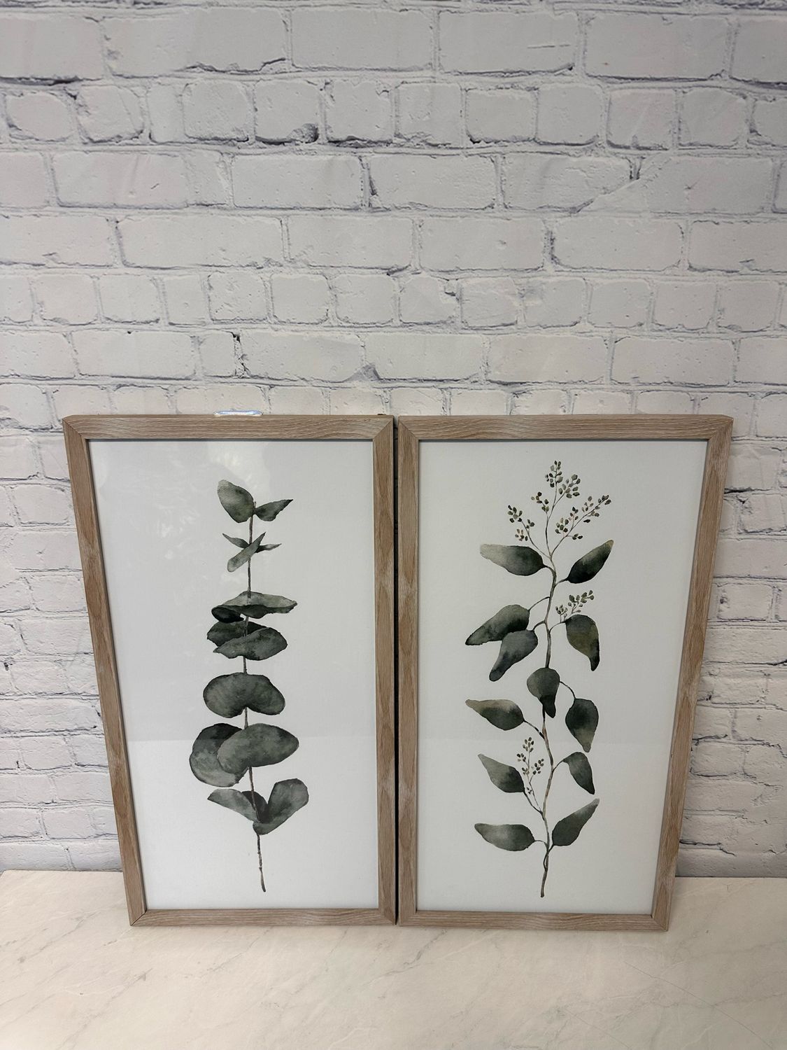 Plant Framed Print - Set Of 2