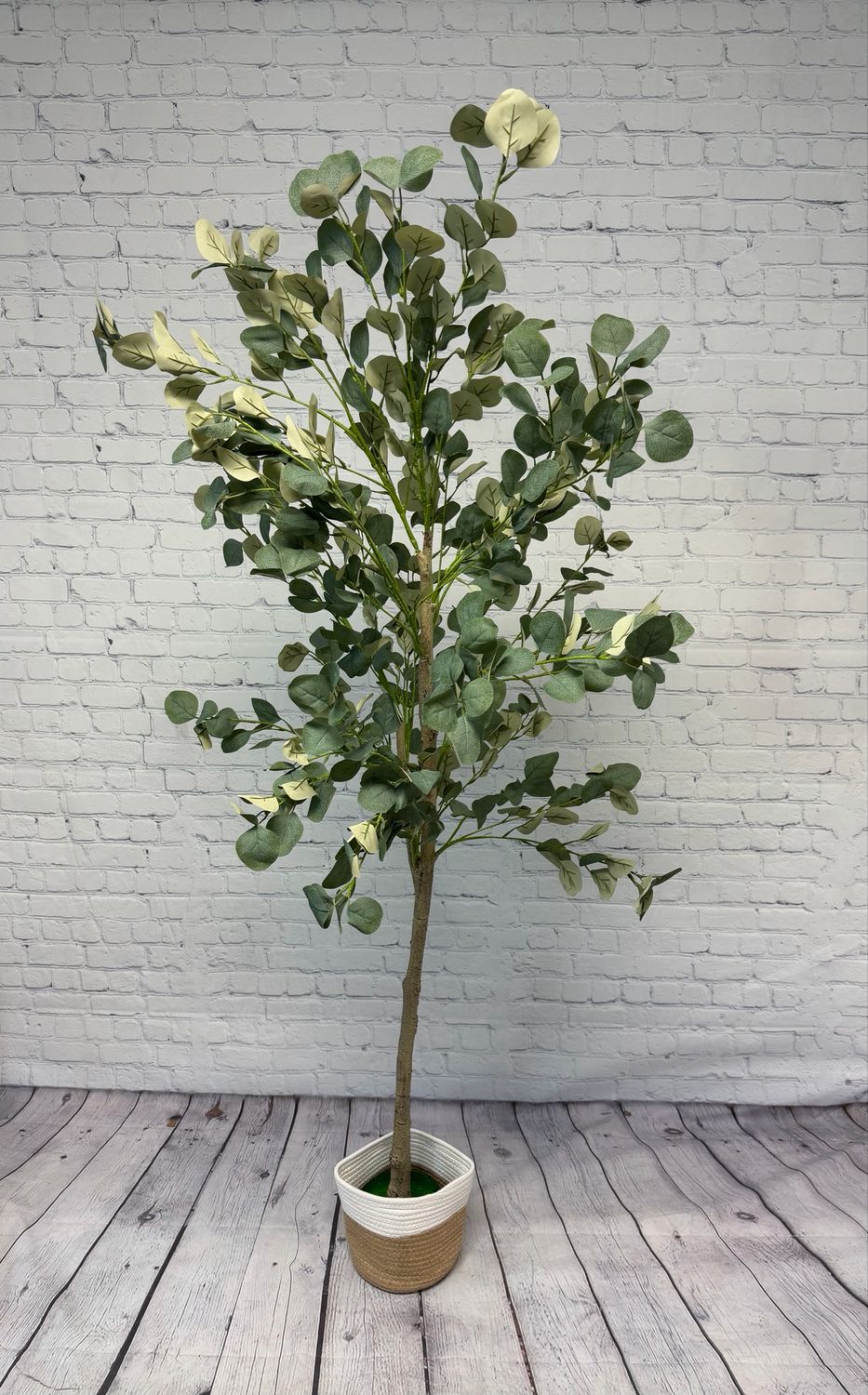 Eucalyptus Tree W/ White & Beige Basket - 6 Foot