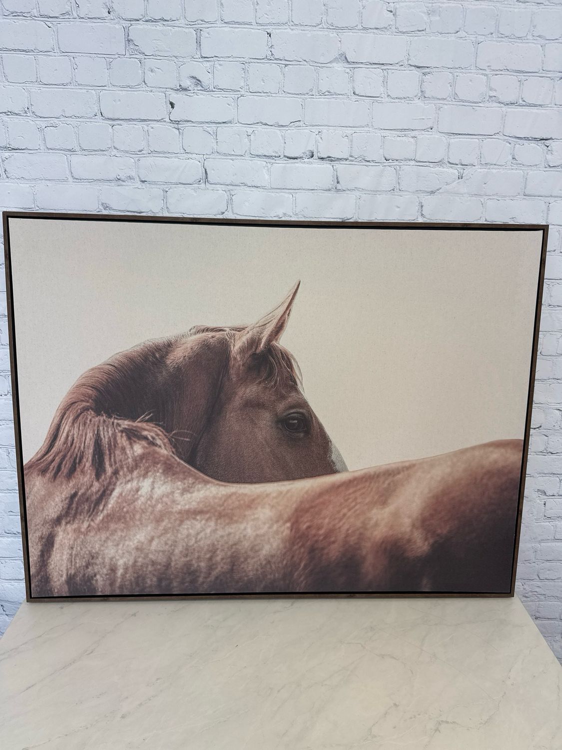 Horse Framed Canvas