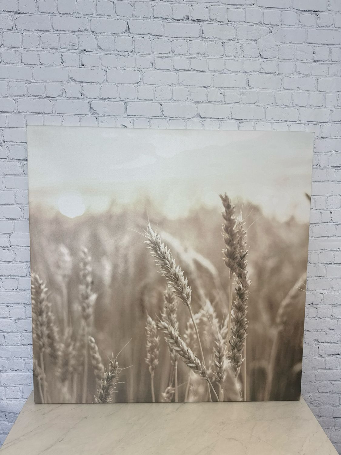 Warm Fields Canvas