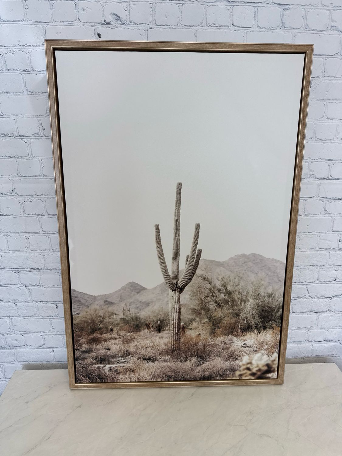 Desert Cactus Framed Canvas