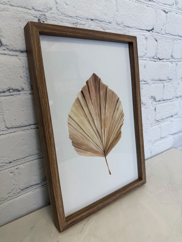 Fan Leaf Framed Print