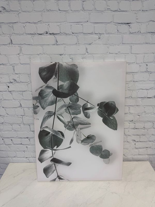 Eucalyptus Canvas