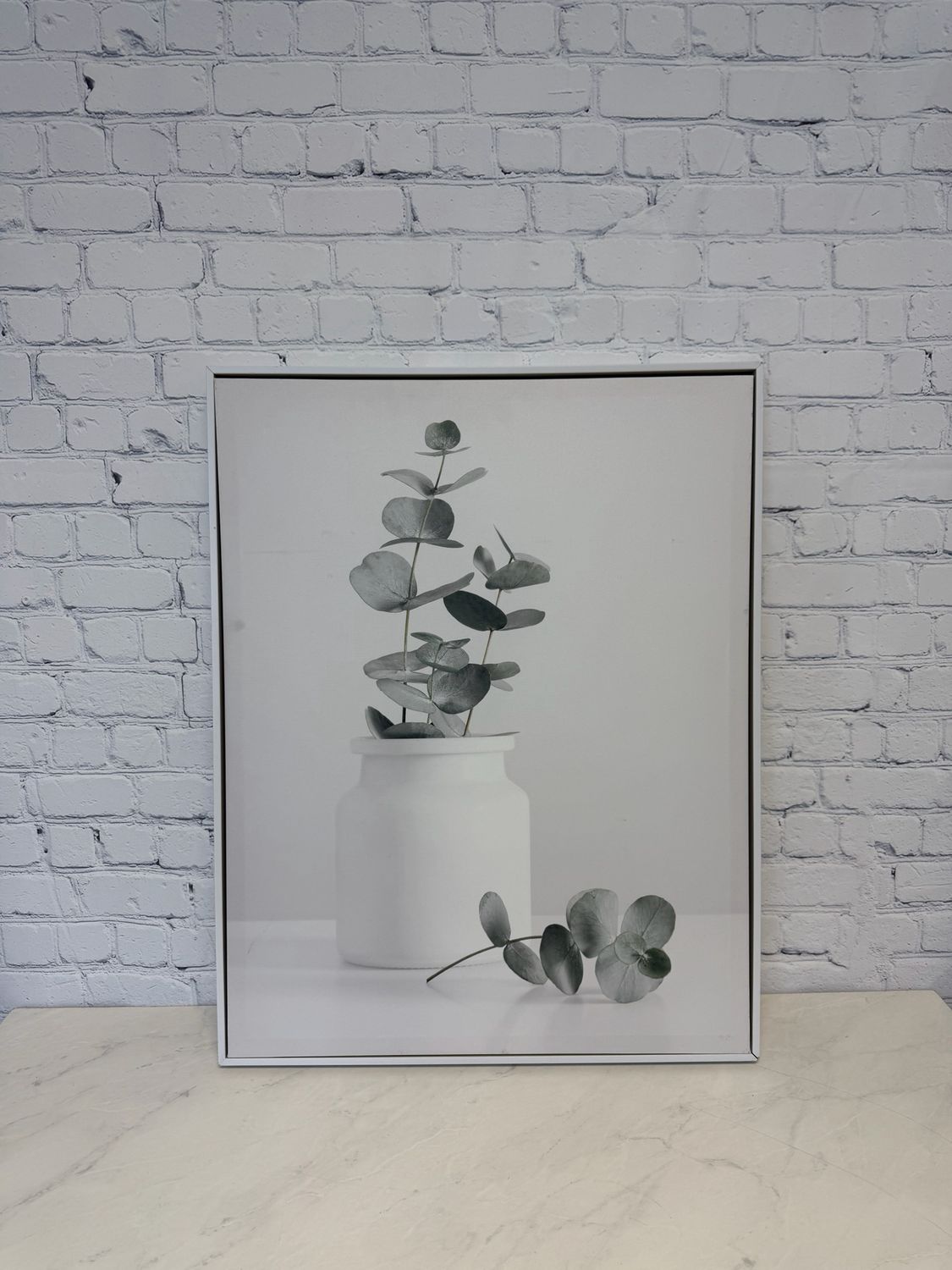 Eucalyptus Framed Canvas