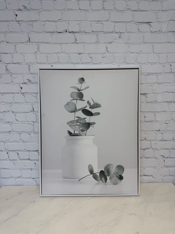 Eucalyptus Framed Canvas