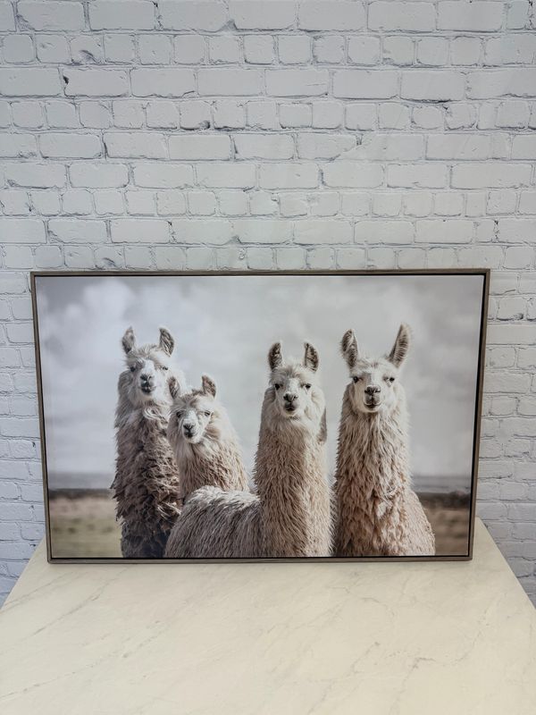 Llama Framed Canvas