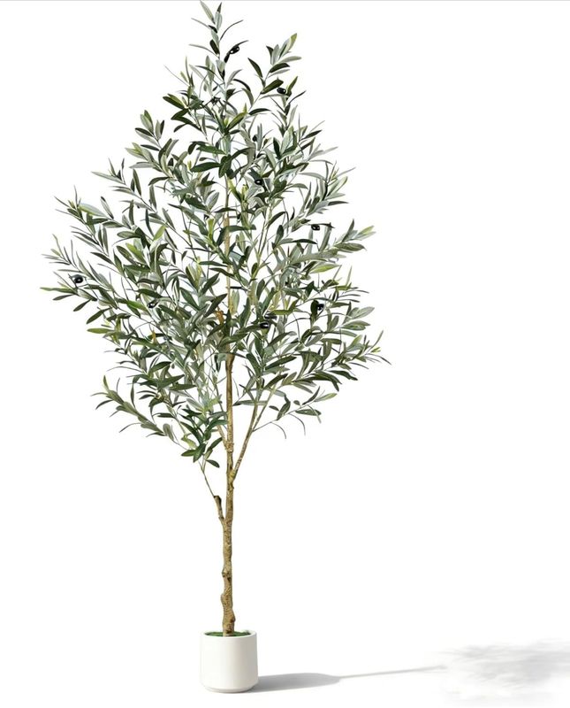 Olive Tree Floor Plant - 7 Foot