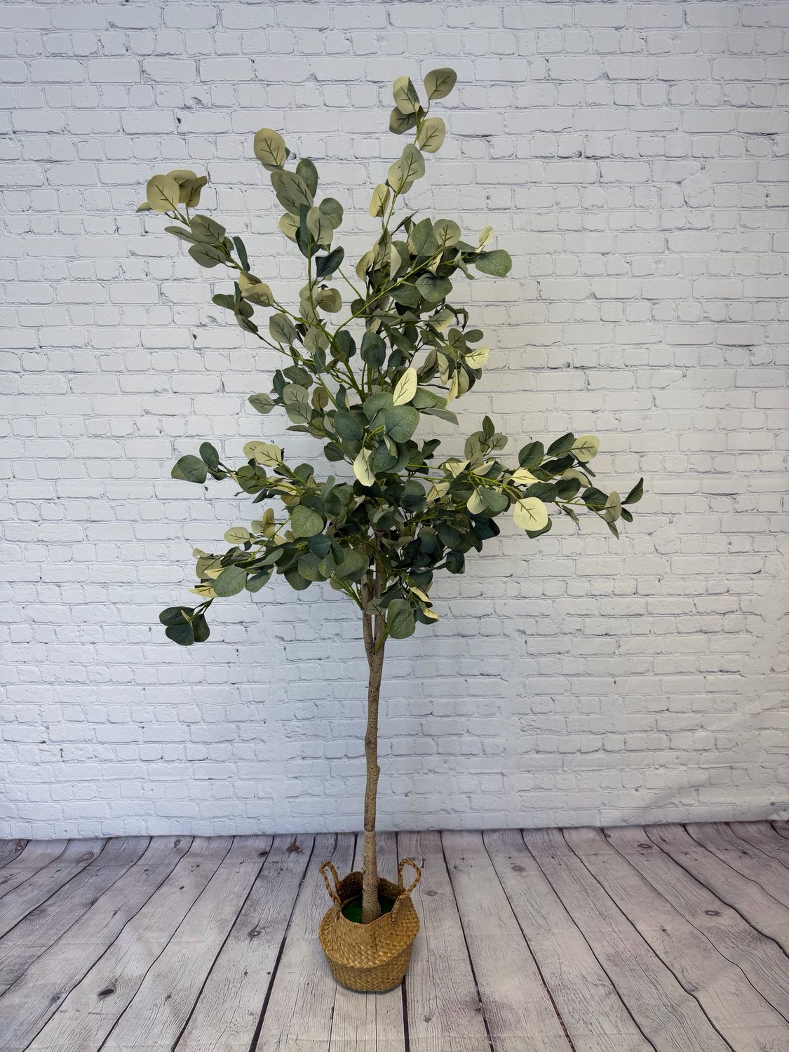 Eucalyptus Tree W/ Woven Basket - 6 Foot