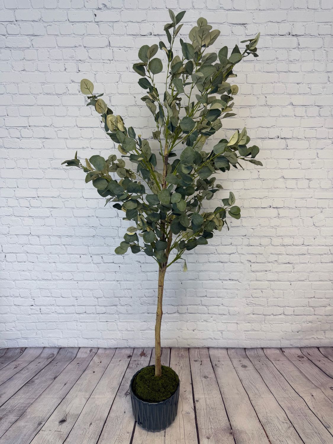 Eucalyptus Tree W/ Blue Pot - 6 Foot
