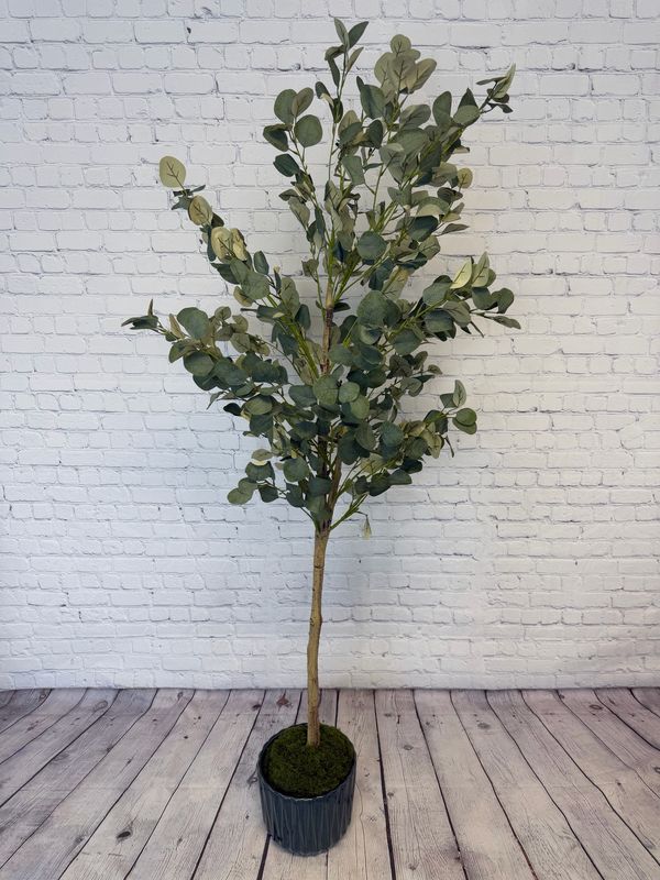Eucalyptus Tree W/ Blue Pot - 6 Foot