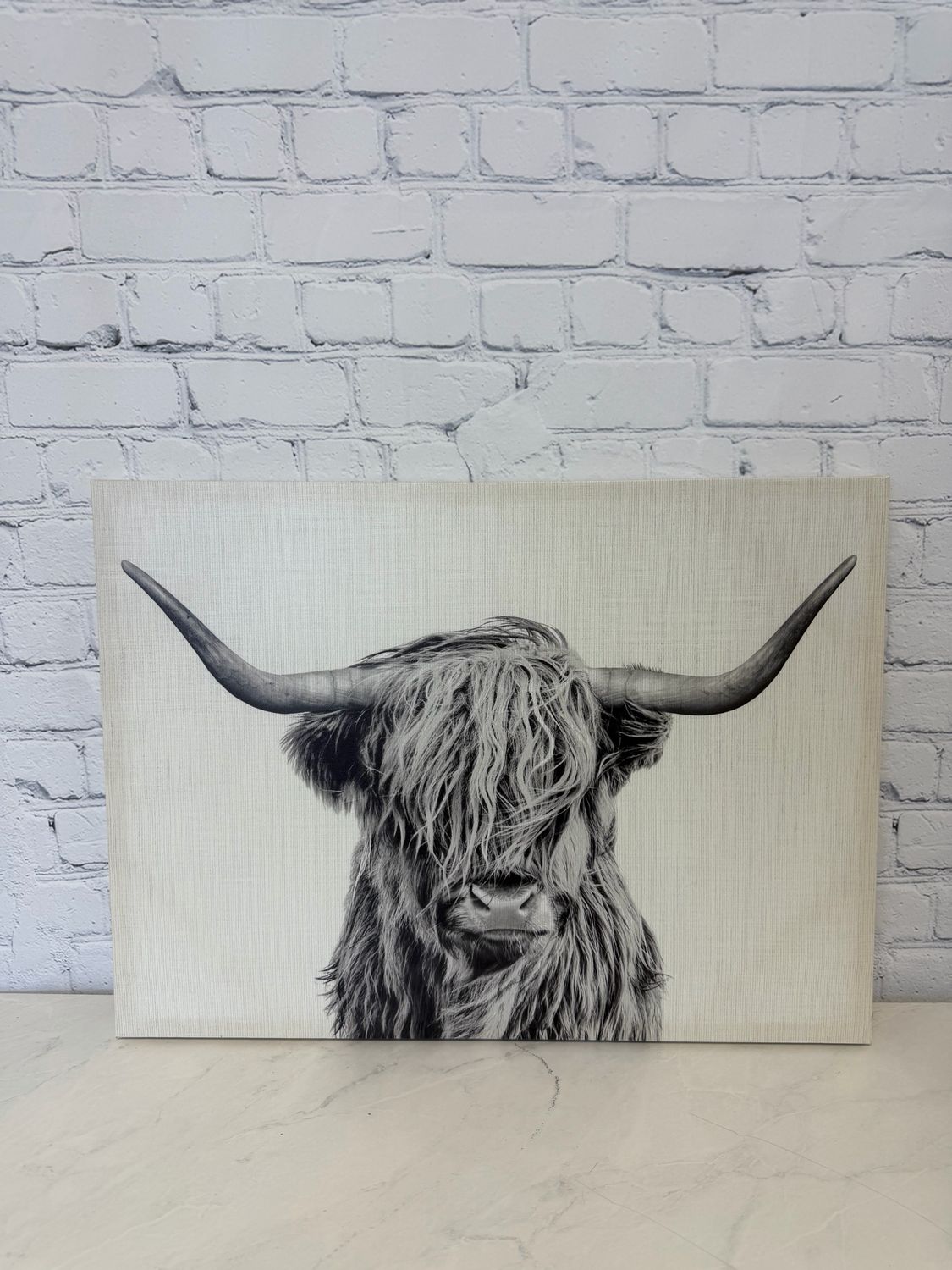 Highland Cow Canvas