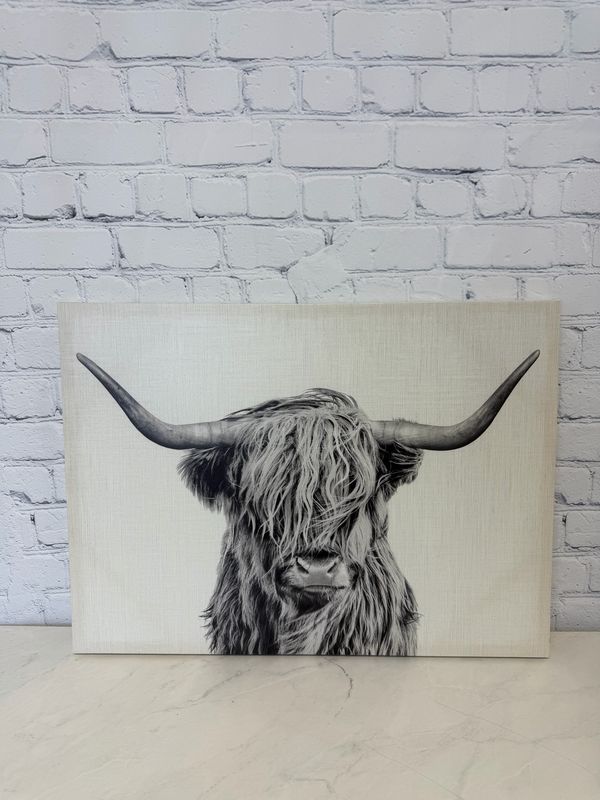 Highland Cow Canvas