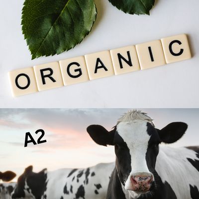 Organic &amp; A2 Products