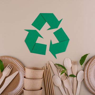 Eco-friendly Disposables