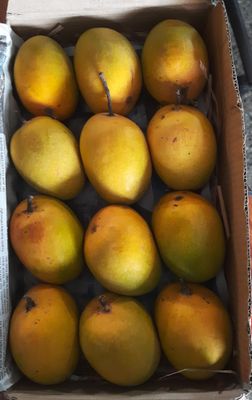 Devgad Alphonso Mangoes (MIN 5 BOXES)